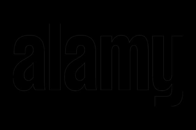 Alamy coupons and offers