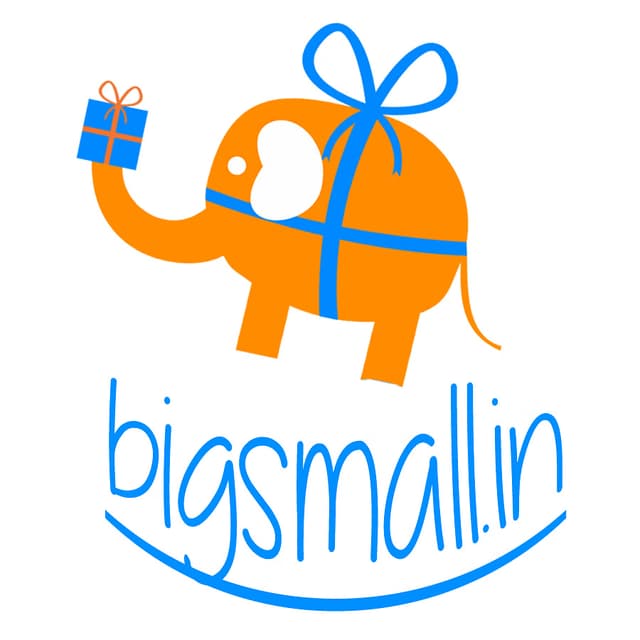 big small coupons and offers