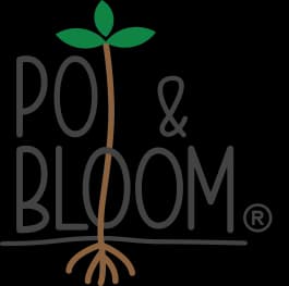 Pot And Bloom coupons and offers