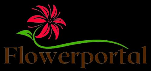 Flowerportal coupons and offers