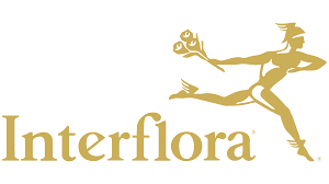 Interflora coupons and offers