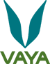 Vaya coupons and offers