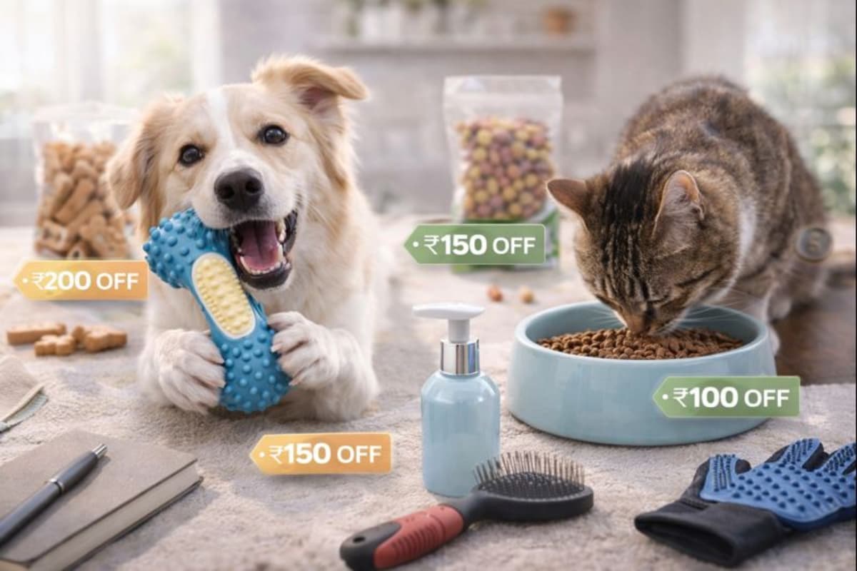 10 Most Popular Amazon Buys for Pet Parents in India