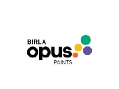 Aditya Birla Paints coupons Aditya Birla Paints